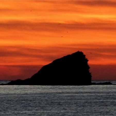Es Volca Daire Cadaqués Dış mekan fotoğraf