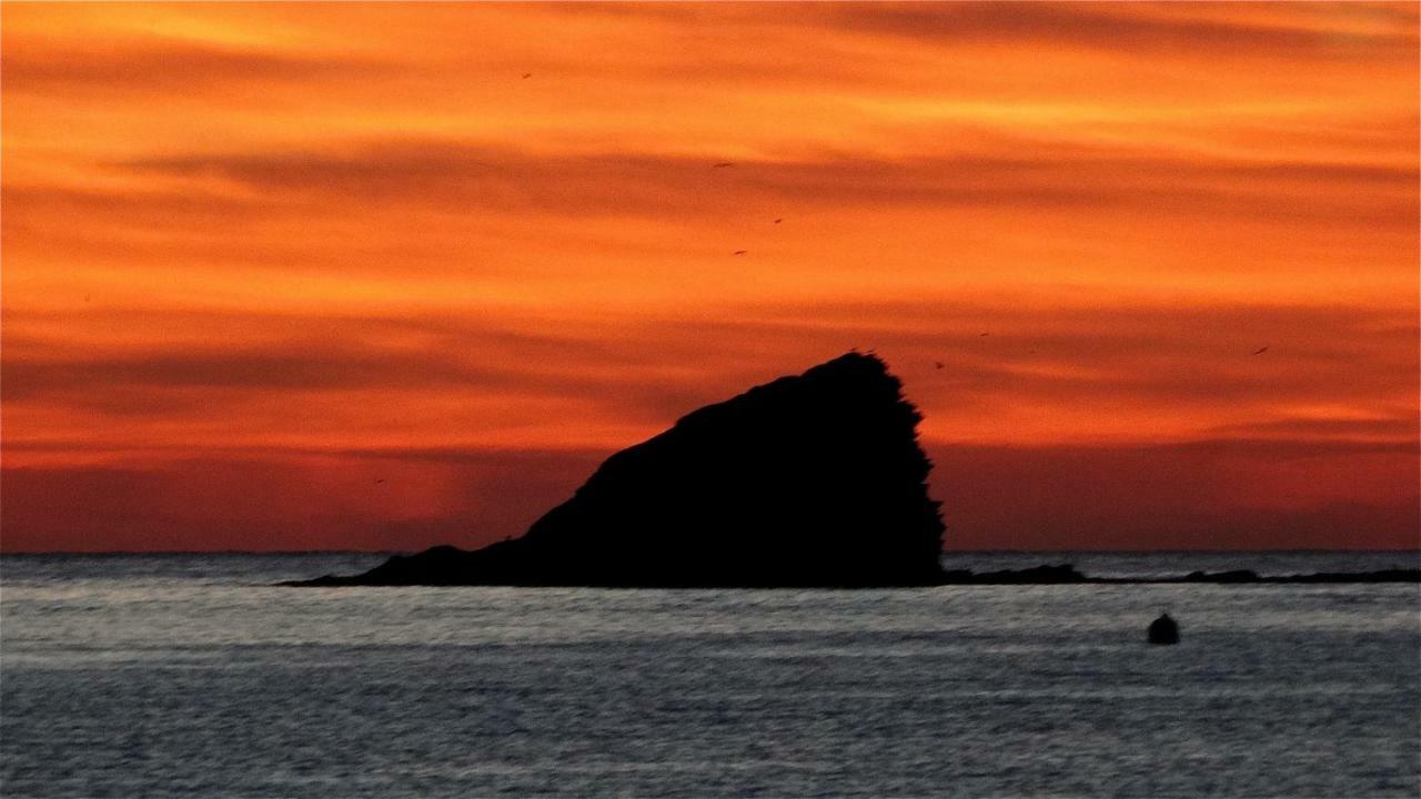Es Volca Daire Cadaqués Dış mekan fotoğraf