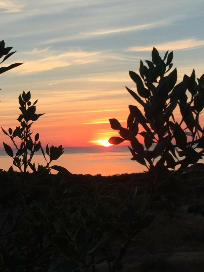 Es Volca Daire Cadaqués Dış mekan fotoğraf